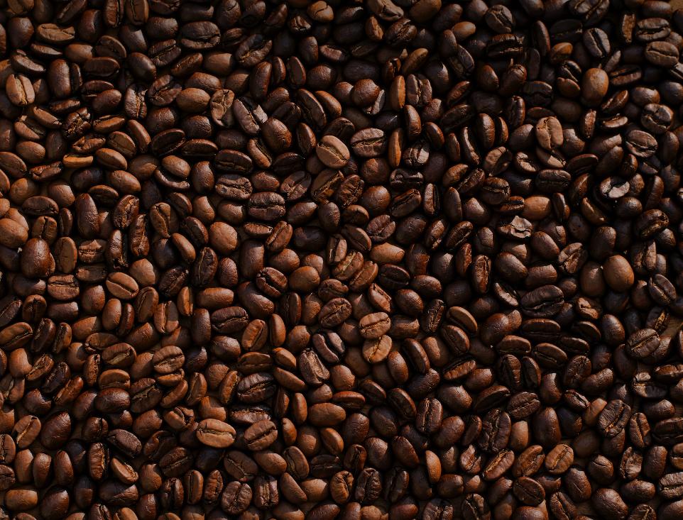 coffee bean lot